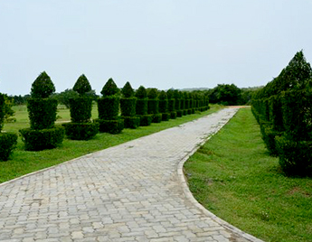 Dry Zone Botanical Garden Mirijjawila